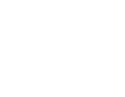 Security icon placeholder